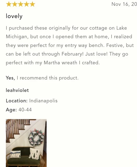 Anthropologie Snow Day Pillow - Picture 10 of 13